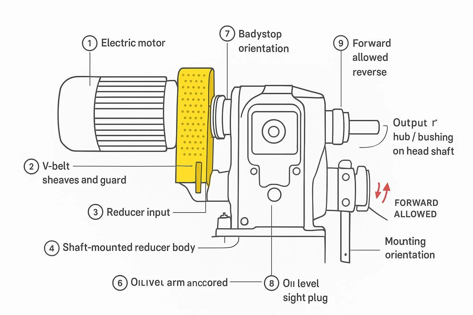 Schematic of a shaft-mounted reducer on a conveyor head shaft with torque arm and backstop labels
